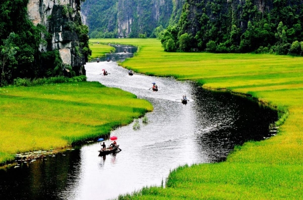 Hoa Lu - Tam Coc 1 day